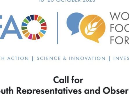 The Opportunity Here