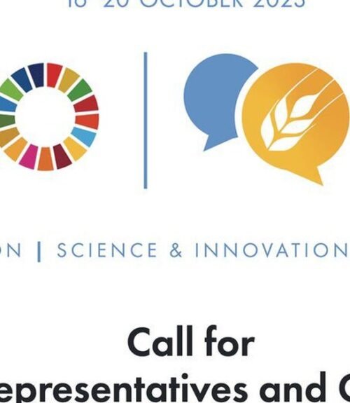 The Opportunity Here