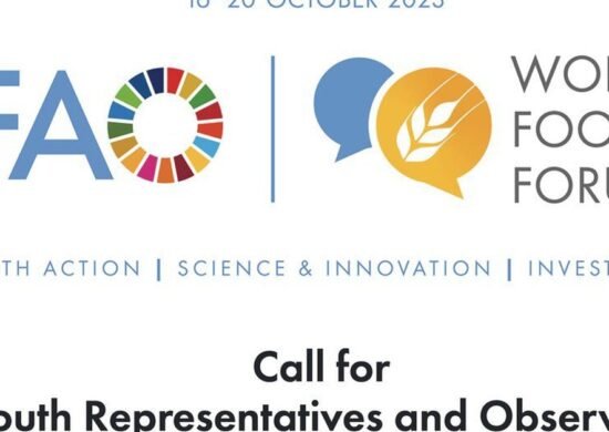 The Opportunity Here