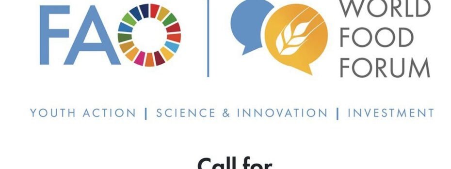 The Opportunity Here