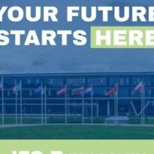 The Opportunity Here