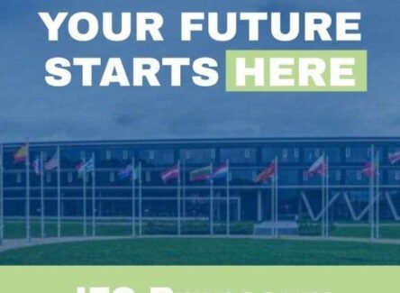 The Opportunity Here