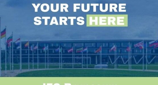 The Opportunity Here