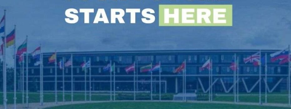 The Opportunity Here