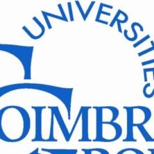 The Opportunity Here