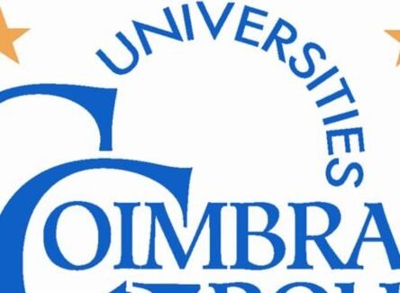 The Opportunity Here