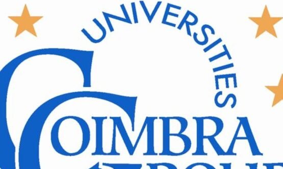 The Opportunity Here