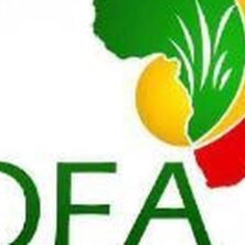 The Opportunity Here