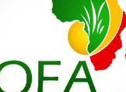 The Opportunity Here