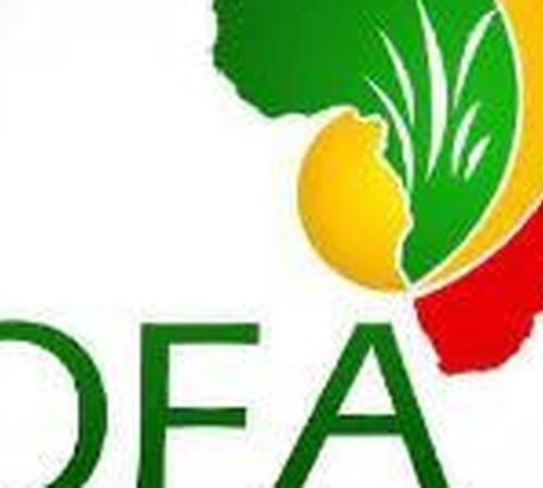 The Opportunity Here