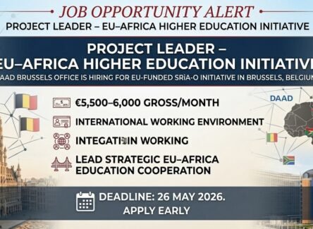 The Opportunity Here