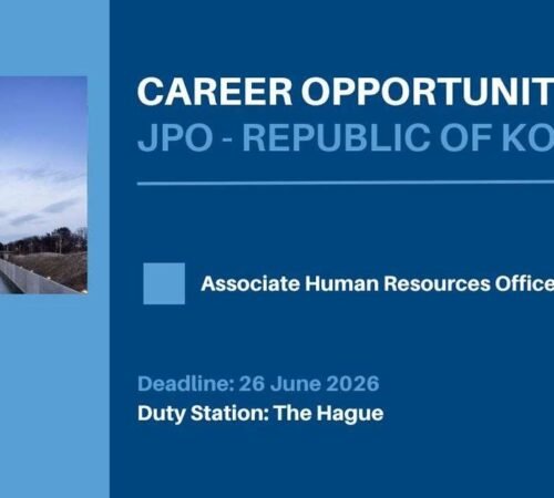 The Opportunity Here