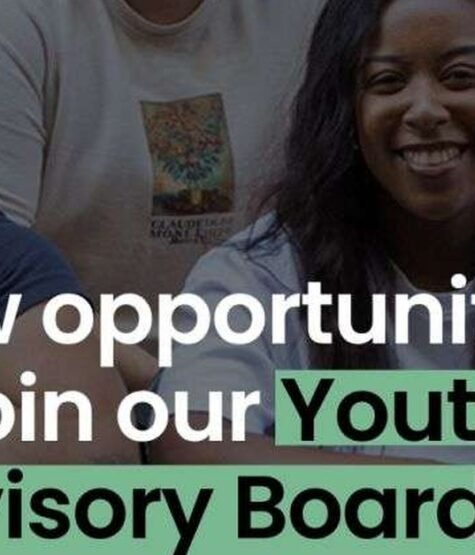 The Opportunity Here