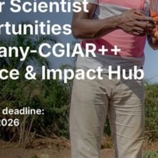 The Opportunity Here