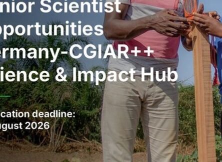 The Opportunity Here