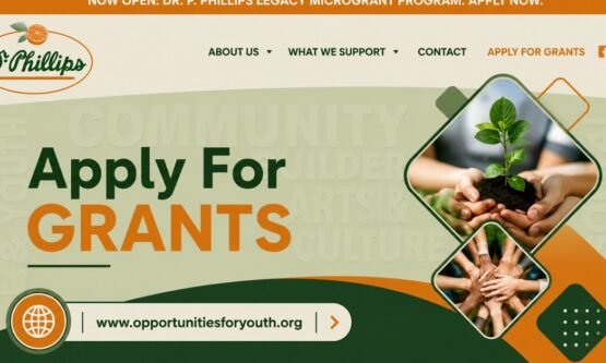 The Opportunity Here