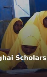 The Opportunity Here